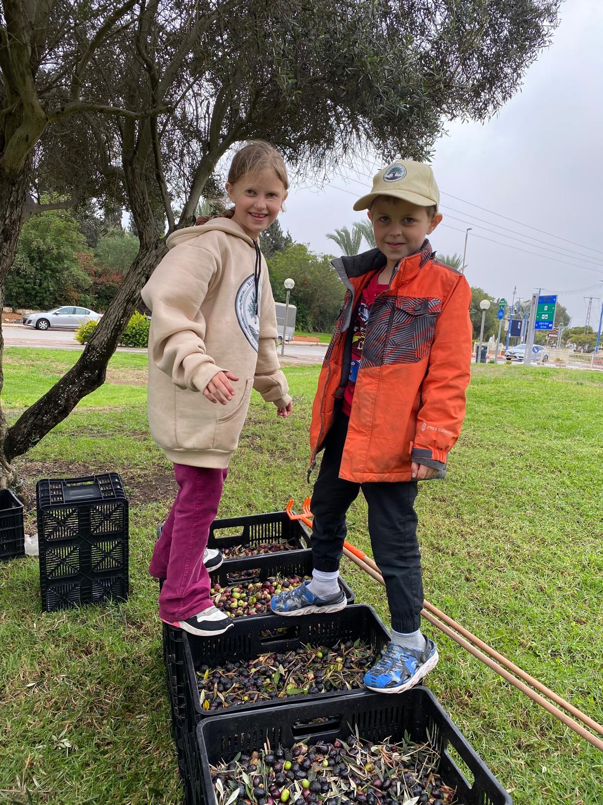 Root and Branch Volunteers