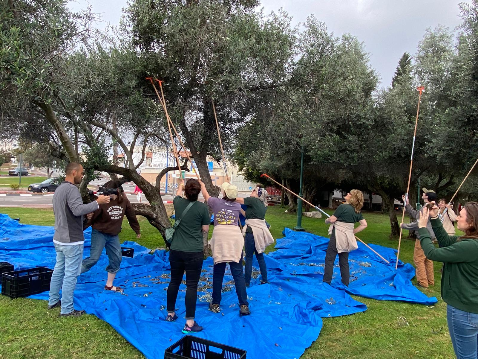 Root and Branch Volunteers