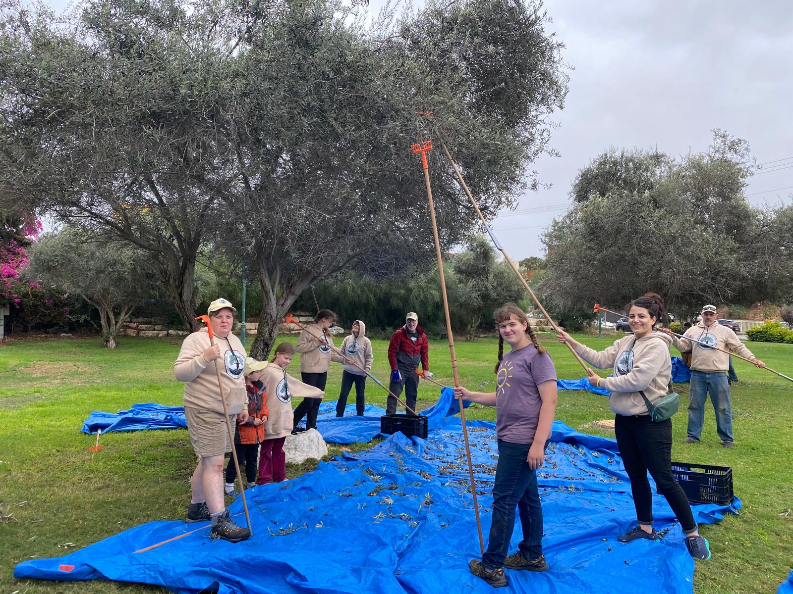 Root and Branch Volunteers