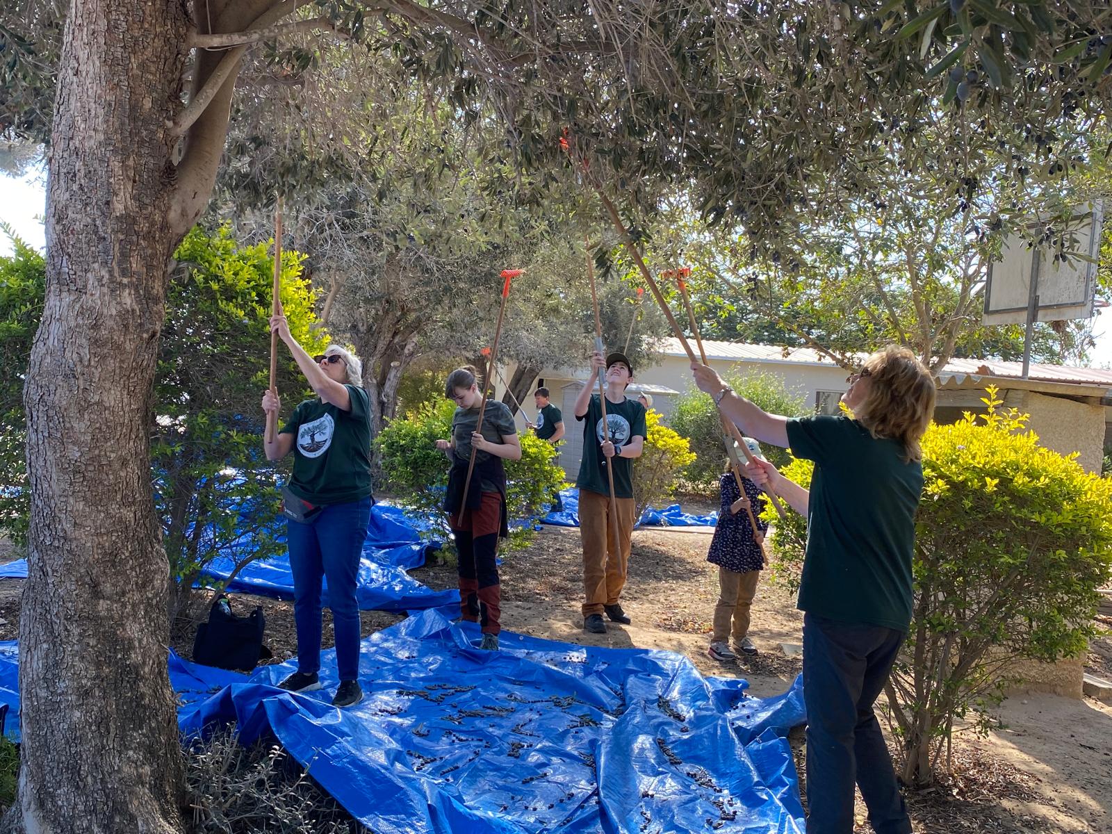 Root and Branch Volunteers