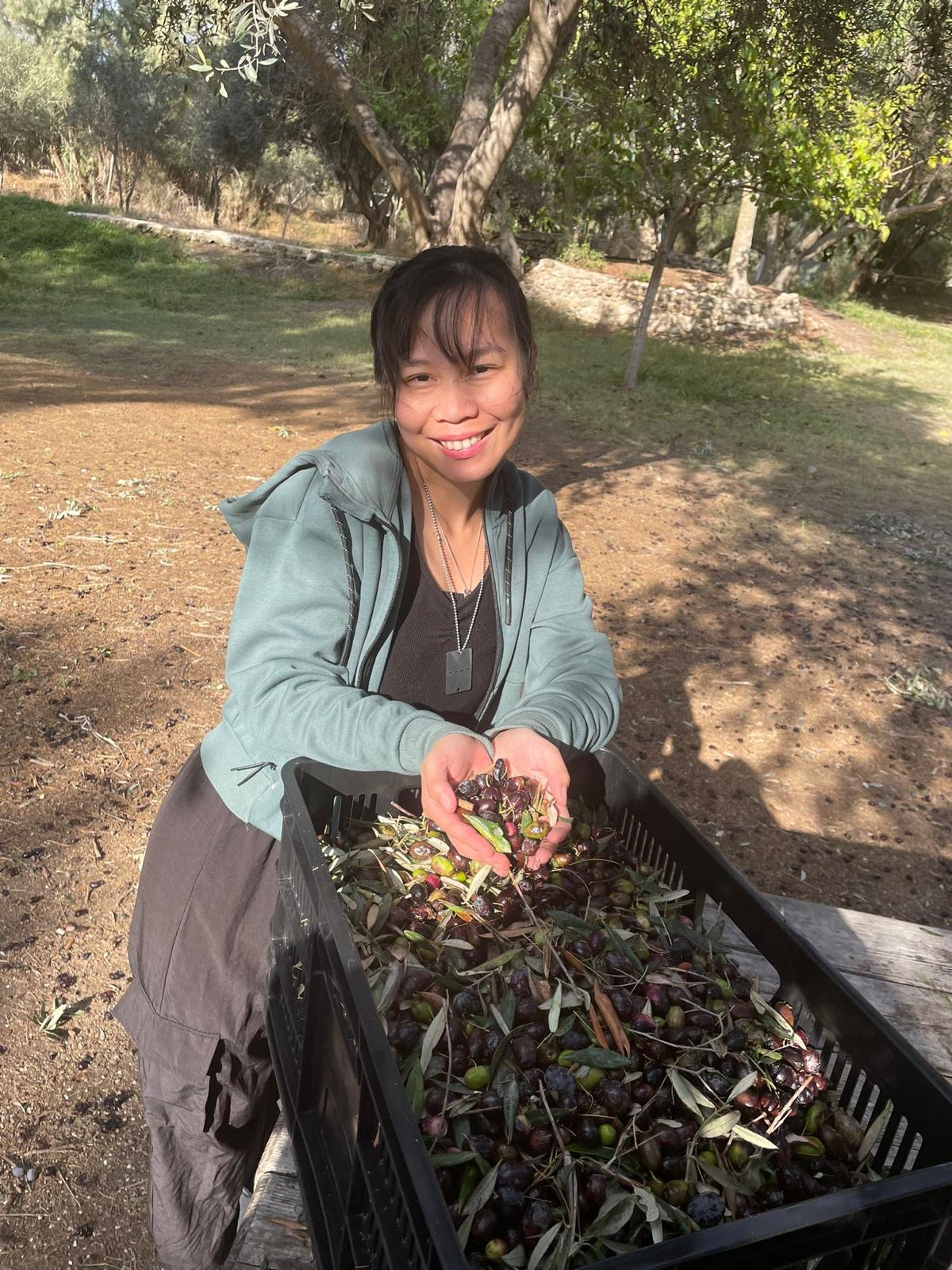 Root and Branch Volunteers