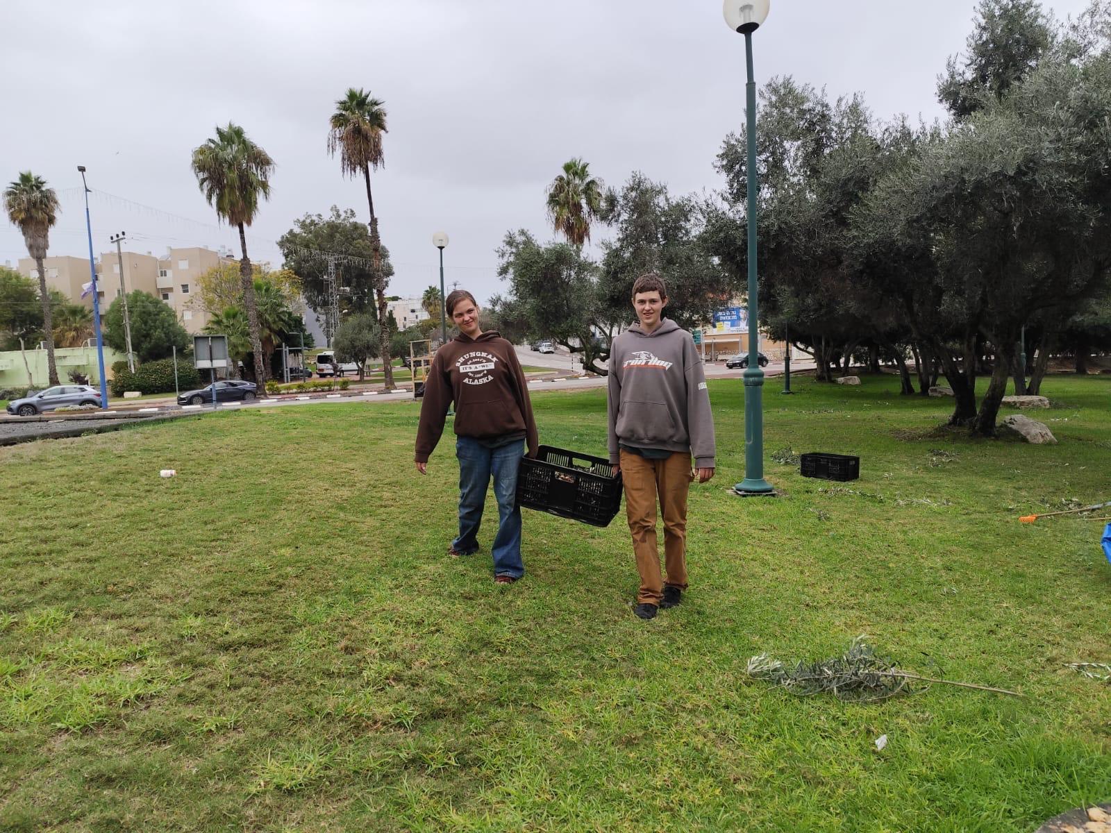 Root and Branch Volunteers